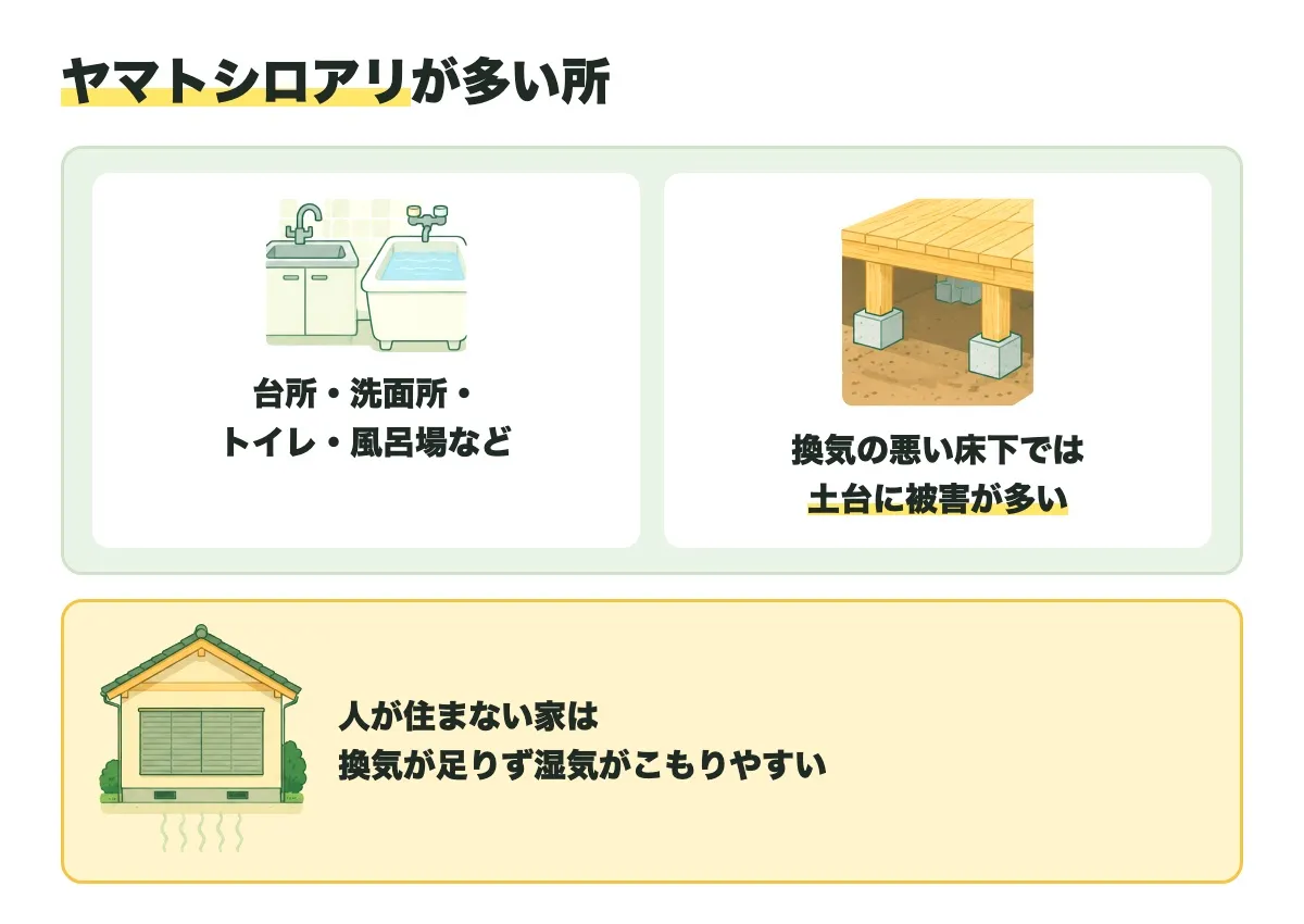 ヤマトシロアリが多い所の図。台所・洗面所・トイレ・風呂場など。換気の悪い床下では土台に被害が多い。あわせて、人が住まない家は換気が足りず湿気がこもりやすいことを示した